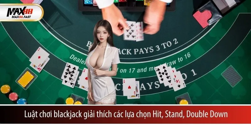 Luật chơi blackjack giải thích các lựa chọn Hit, Stand, Double Down
