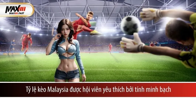 Tỷ lệ kèo Malaysia được hội viên yêu thích bởi tính minh bạch